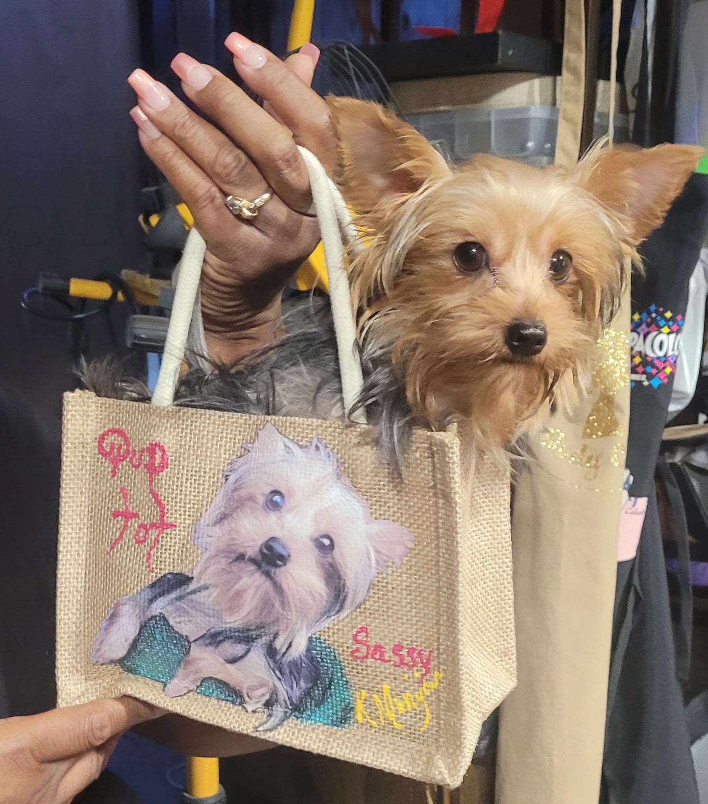 Doggy bags